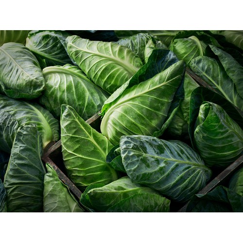 M&S Sweetheart Cabbage thumbnail 3