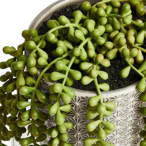 M&S Artificial String of Pearls in Ceramic Pot 16X38.1cm thumbnail 3