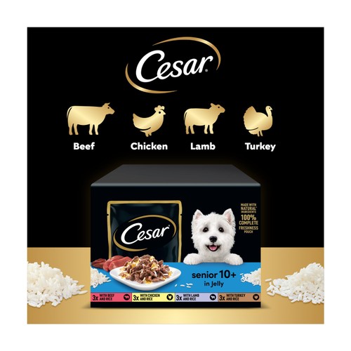 Cesar Senior Wet Dog Food Pouches Mixed Selection in Jelly  thumbnail 4