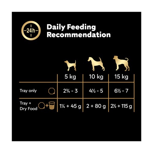 Cesar Country Stew Adult Wet Dog Food Trays Special Selection  thumbnail 3