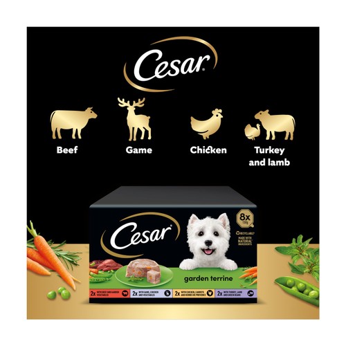 Cesar Garden Terrine Dog Food Tray Mixed in Loaf  thumbnail 4
