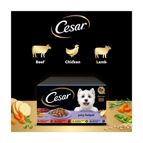 Cesar Juicy Hotpot Adult Wet Dog Food Trays Mixed in Gravy  thumbnail 4