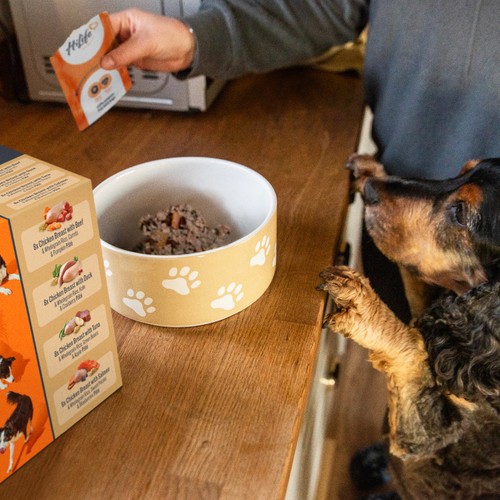HiLife It's Only Natural Complete Wet Dog Food - The Marketplace One thumbnail 3