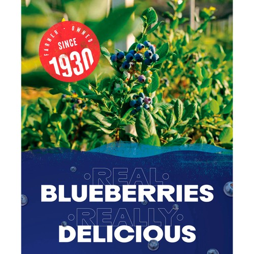 Ocean Spray Blueberry thumbnail 3