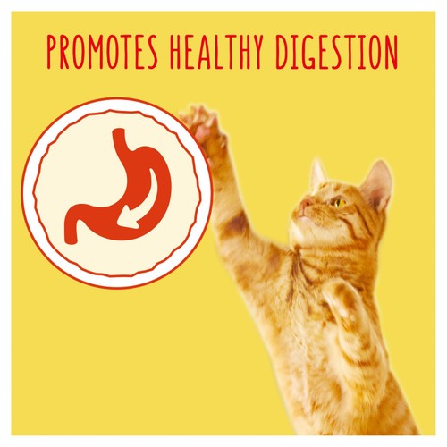 Go-Cat Herring with Vegetables Dry Cat Food thumbnail 8