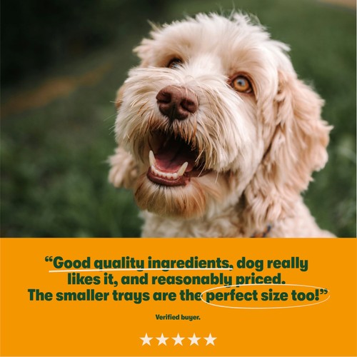 Harringtons Mixed Poultry Wet Dog Food thumbnail 5