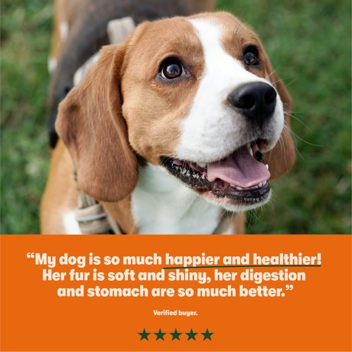Harringtons Mixed Flavours Wet Dog Food thumbnail 5