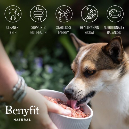 Benyfit Natural Tasty Turkey Complete Raw Dog Food thumbnail 3
