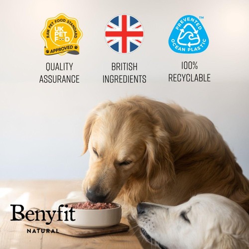 Benyfit Natural Tasty Turkey Complete Raw Dog Food thumbnail 5