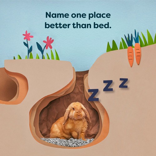 Back 2 Nature Small Animal Paper Bedding/Litter thumbnail 2