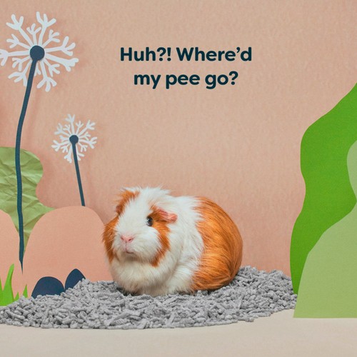 Back 2 Nature Small Animal Paper Bedding/Litter thumbnail 5