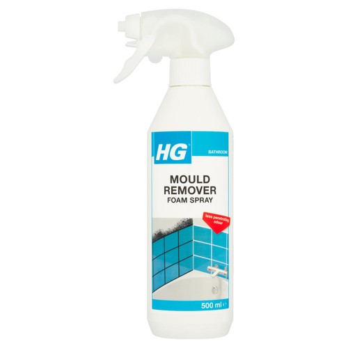 HG Mould Remover Foam Spray