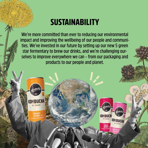 Remedy Kombucha Raspberry Lemonade Multipack thumbnail 5