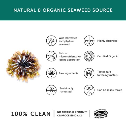 Together Health Iodine - Organic Seaweed Source thumbnail 3
