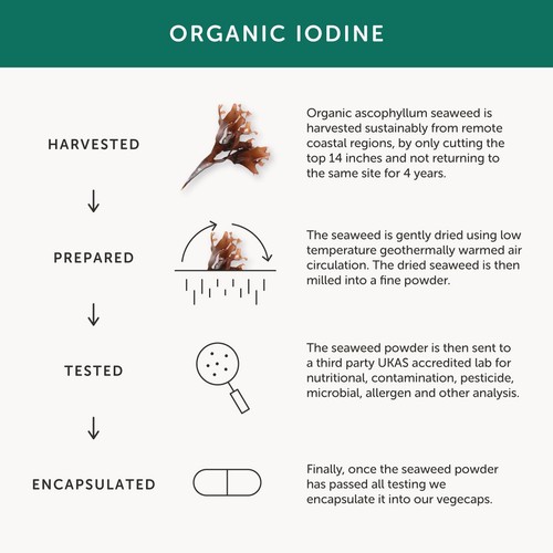 Together Health Iodine - Organic Seaweed Source thumbnail 6