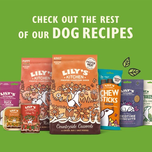 Lily's Kitchen Dog On The Go Bar Beef thumbnail 7