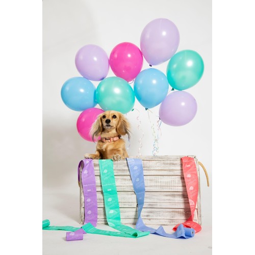 Adios Compostable Dog Poo Bags - Rainbow  thumbnail 4