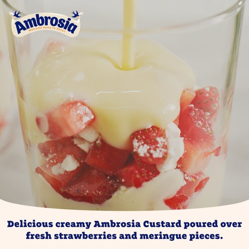 Ambrosia Devon Custard  thumbnail 8