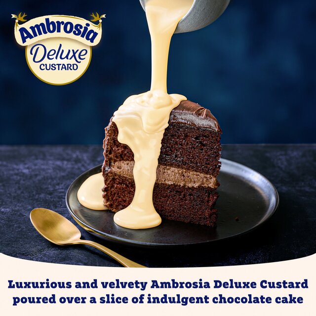 Ambrosia Deluxe West Country Cream Custard Can thumbnail 7