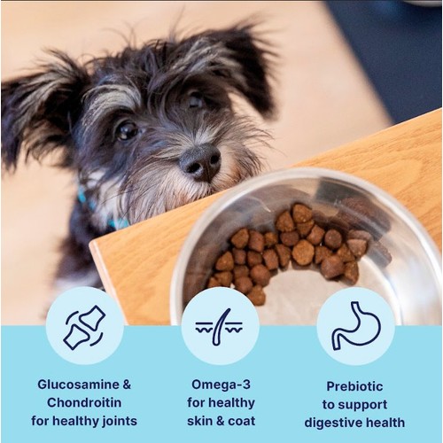 Tails.com Inner Vitality Toy & Small Adult Dog Dry Food Chicken thumbnail 3