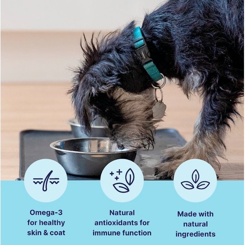Tails.com Inner Vitality Adult Dog Wet Food Chicken thumbnail 3