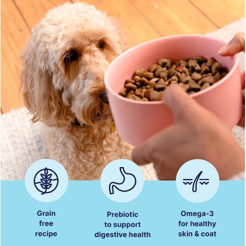 Tails.com Inner Vitality Sensitive Grain Free Mature Dog Dry Food Salmon thumbnail 2