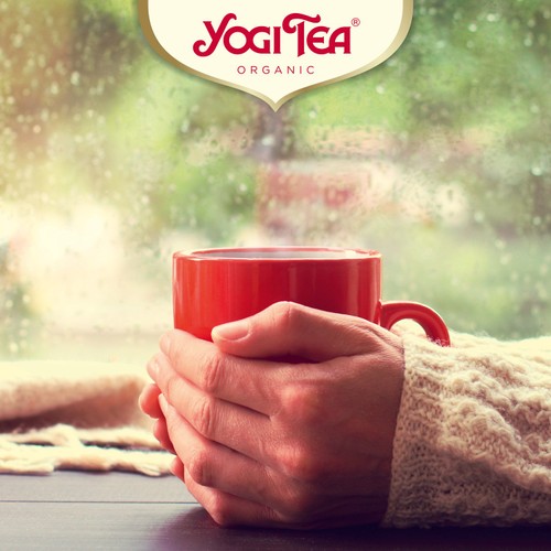 Yogi Tea Maca Chai Organic thumbnail 2