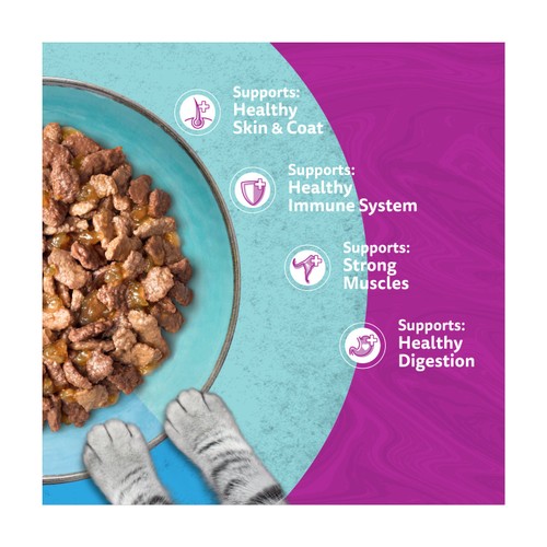 Whiskas 1+ Duo Ocean Delights Adult Wet Cat Food Pouches in Jelly thumbnail 4