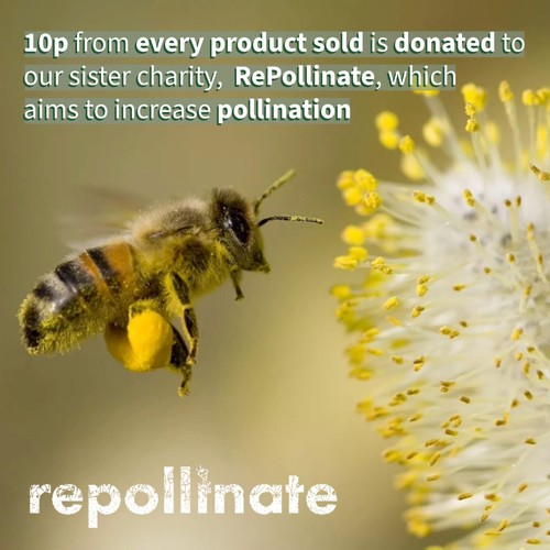 Scottish Bee Company Heather Honey thumbnail 6