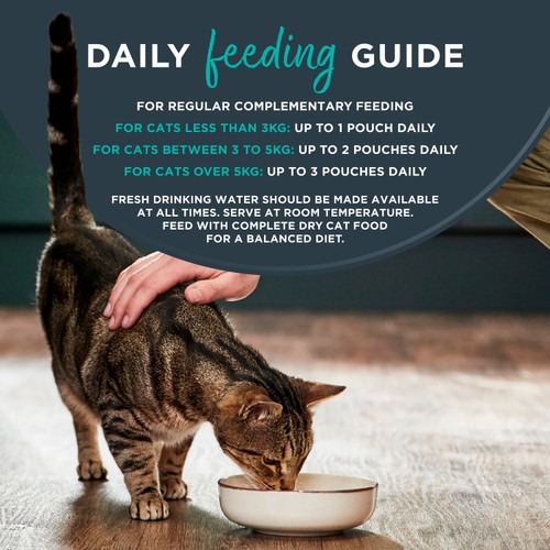 Encore Cat Gravy Pouch Fish Selection thumbnail 2