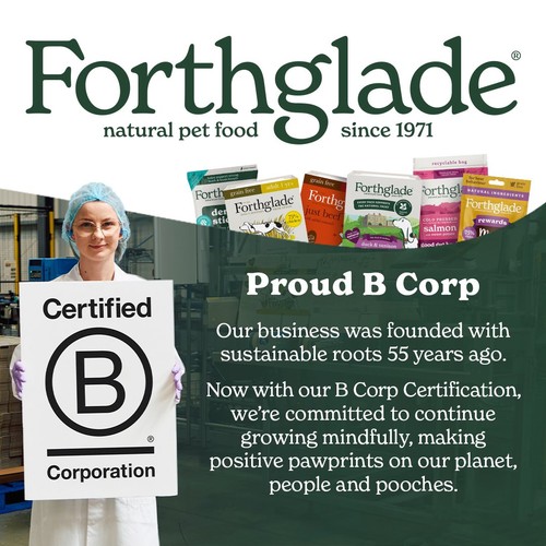 Forthglade Senior Natural Grain Free Wet Dog Food Lamb 7 yrs+ thumbnail 4