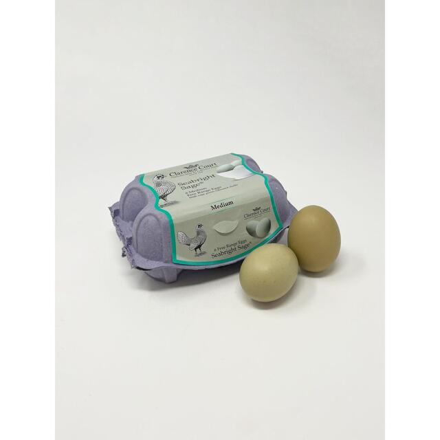 Clarence Court  Seabright Sage 6 Free Range Eggs thumbnail 3