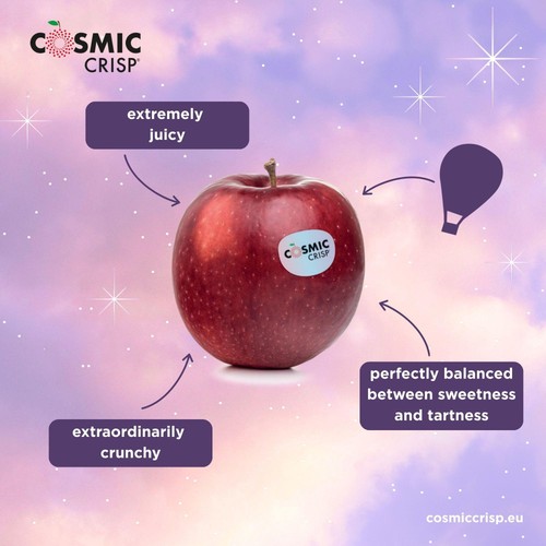 Cosmic Crisp Apples thumbnail 5