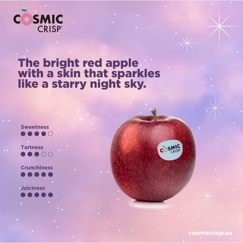 Cosmic Crisp Apples thumbnail 6