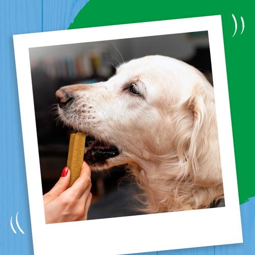 Bakers Joint Delicious Large Chicken Dog Chews thumbnail 4