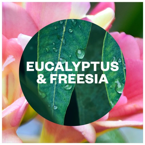 Airwick Aerosol-Free Automatic Air Freshener Refill Eucalyptus thumbnail 2