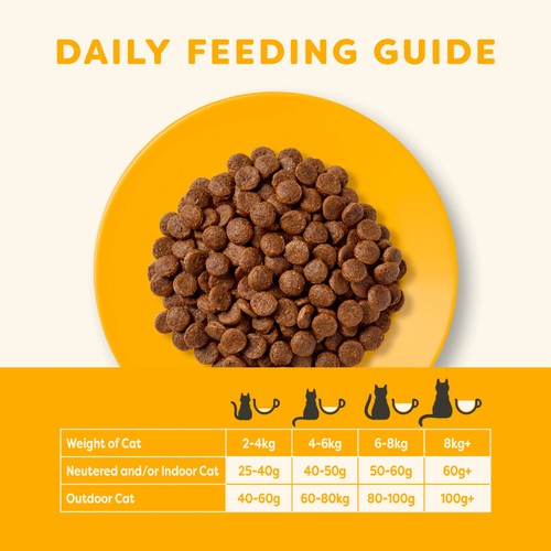 Applaws Cat Dry Adult Chicken with Salmon thumbnail 4
