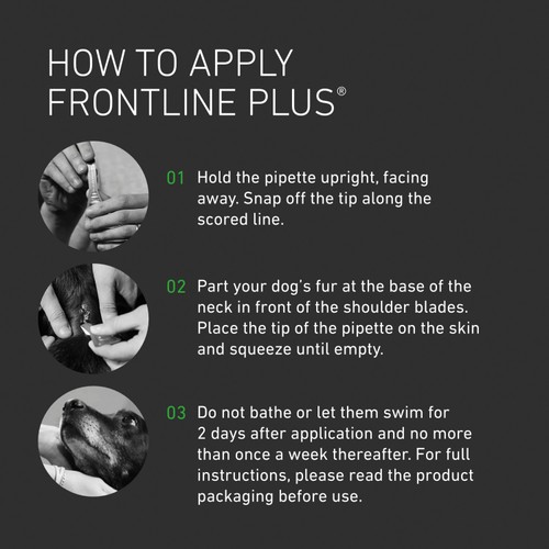 FRONTLINE Plus Medium Dog Flea & Tick 10-20kg thumbnail 5