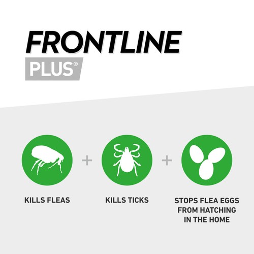 FRONTLINE Plus Large Dog Flea & Tick 20-40kg thumbnail 8