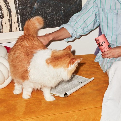 KatKin Salmon Nibbles Cat Treats thumbnail 7