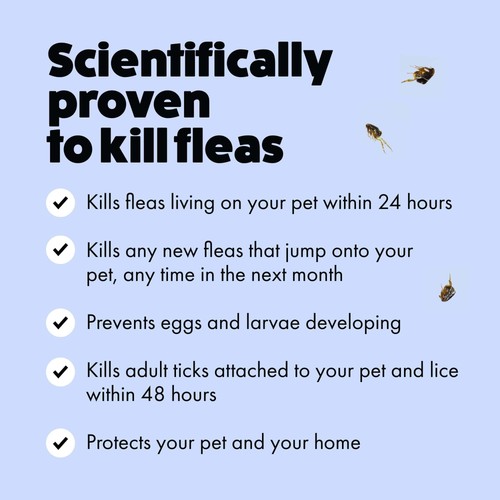 Itch Flea XL Dog Spot-On Flea & Tick treatment (40kg+) thumbnail 4