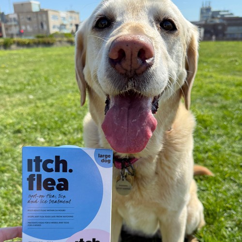 Itch Flea Large Dog Spot-On Flea & Tick treatment (20-40kg) thumbnail 6