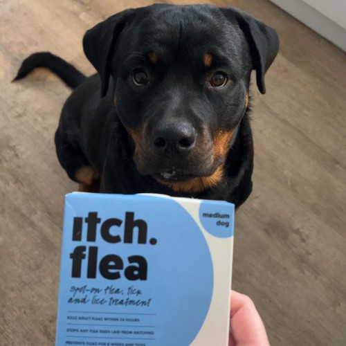 Itch Flea Medium Dog Spot-On Flea & Tick treatment (10-20kg) thumbnail 6