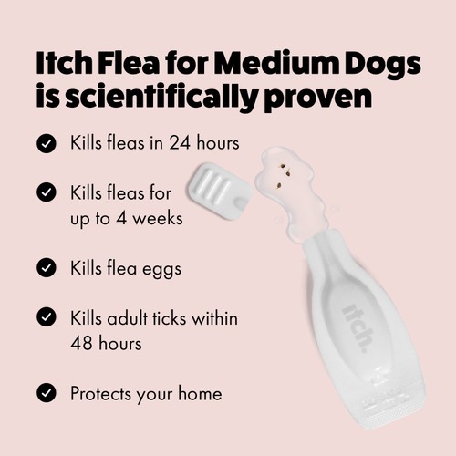 Itch Flea Medium Dog Spot-On Flea & Tick treatment (10-20kg) thumbnail 7