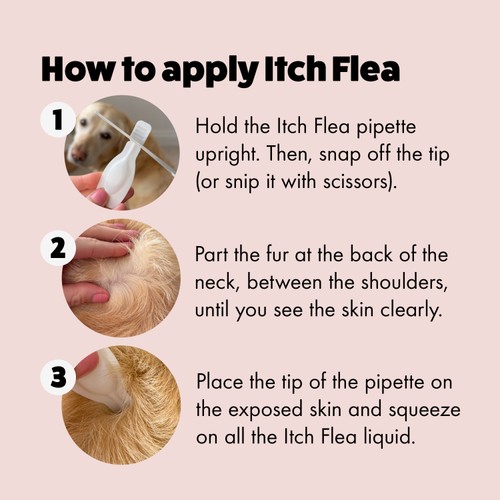 Itch Flea Medium Dog Spot-On Flea & Tick treatment (10-20kg) thumbnail 8