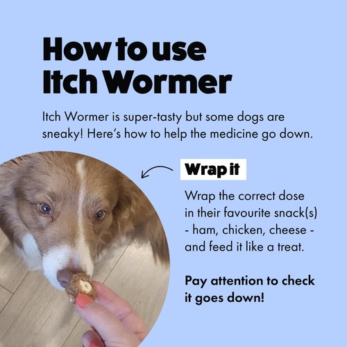 Itch Wormer Tablet Treatment For Dogs (3-20kg) thumbnail 5