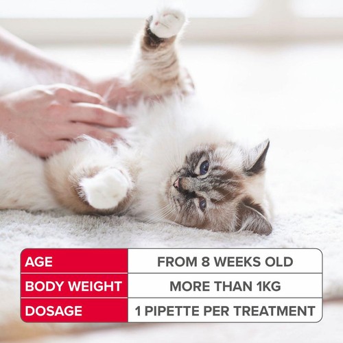 Beaphar FIPROtec Flea & Tick Spot-On for Cats thumbnail 5