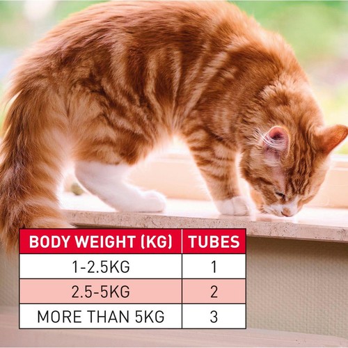 Beaphar WORMclear Worming Spot-On for Cats thumbnail 3