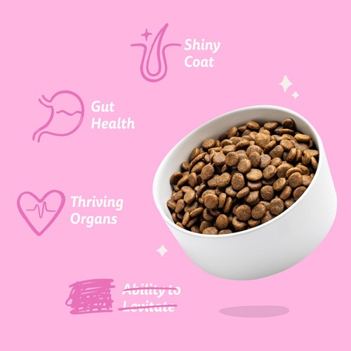Edgard & Cooper Fresh Dog Dry Food Plant Based Adult Beetroot & Pumpkin thumbnail 3