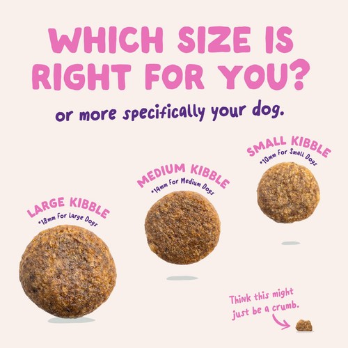 Edgard & Cooper Fresh Dog Dry Food Plant Based Adult Beetroot & Pumpkin thumbnail 4